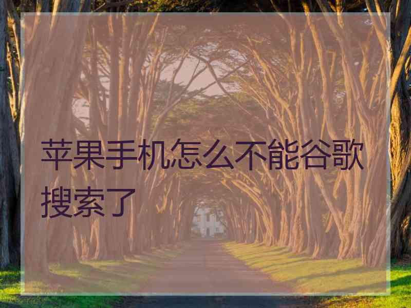 苹果手机怎么不能谷歌搜索了 苹果手机怎么不能谷歌搜索了