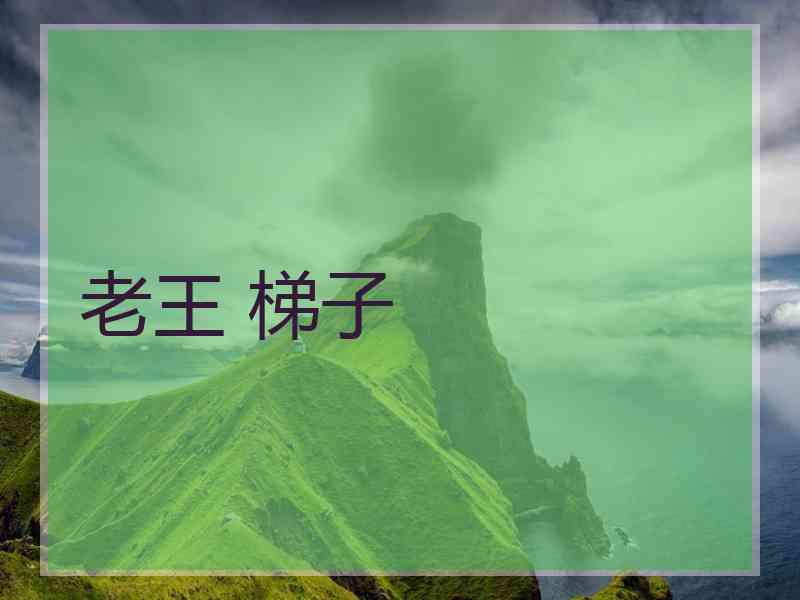 老王 梯子 老王 梯子