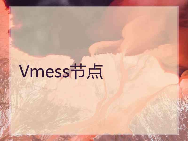 Vmess节点 Vmess节点