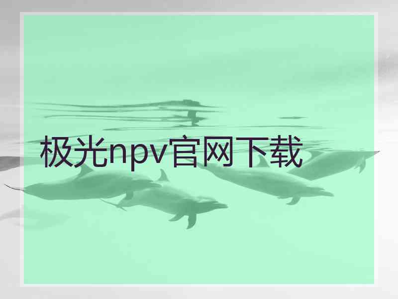极光npv官网下载 极光npv官网下载