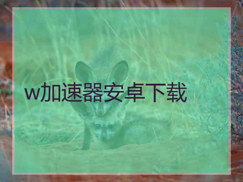 w加速器安卓下载 w加速器安卓下载