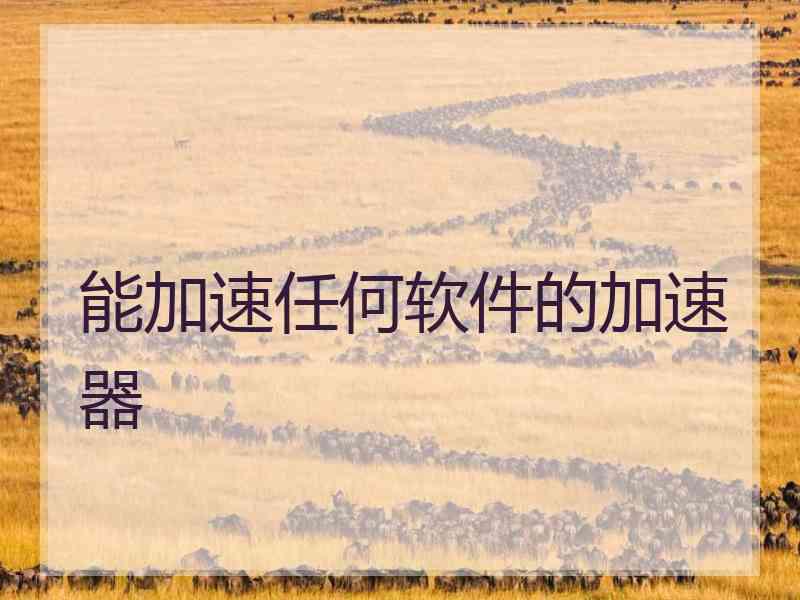 能加速任何软件的加速器 能加速任何软件的加速器
