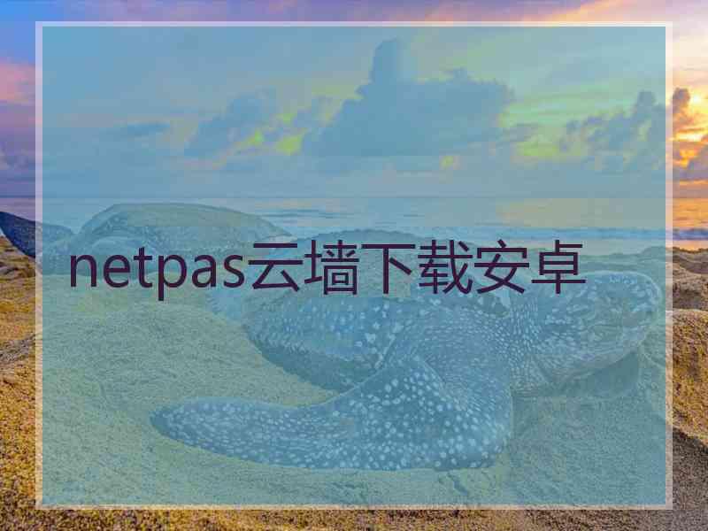 netpas云墙下载安卓 netpas云墙下载安卓