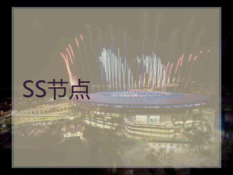 SS节点 SS节点