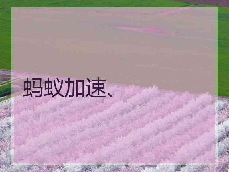 蚂蚁加速、 蚂蚁加速、