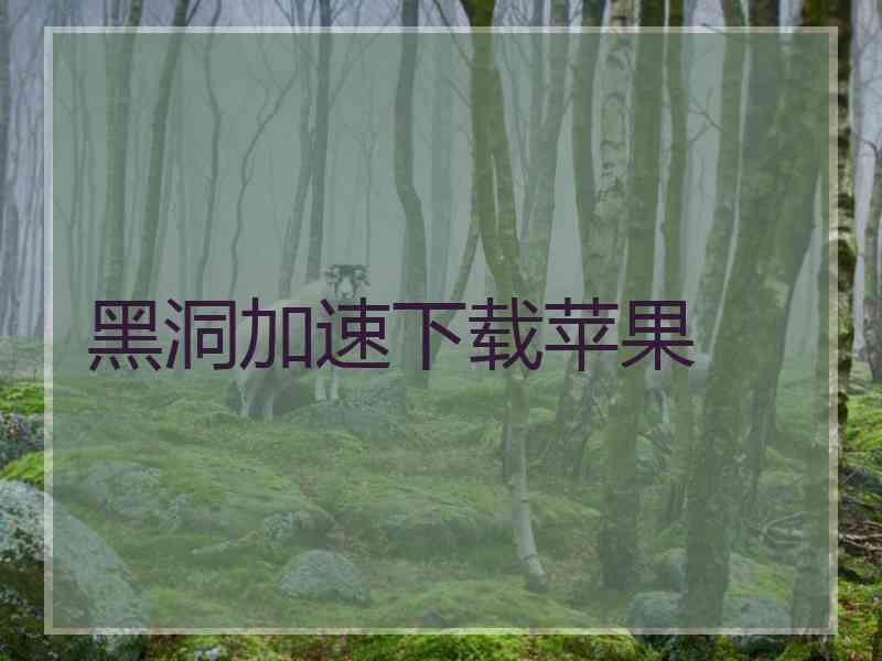 黑洞加速下载苹果 黑洞加速下载苹果