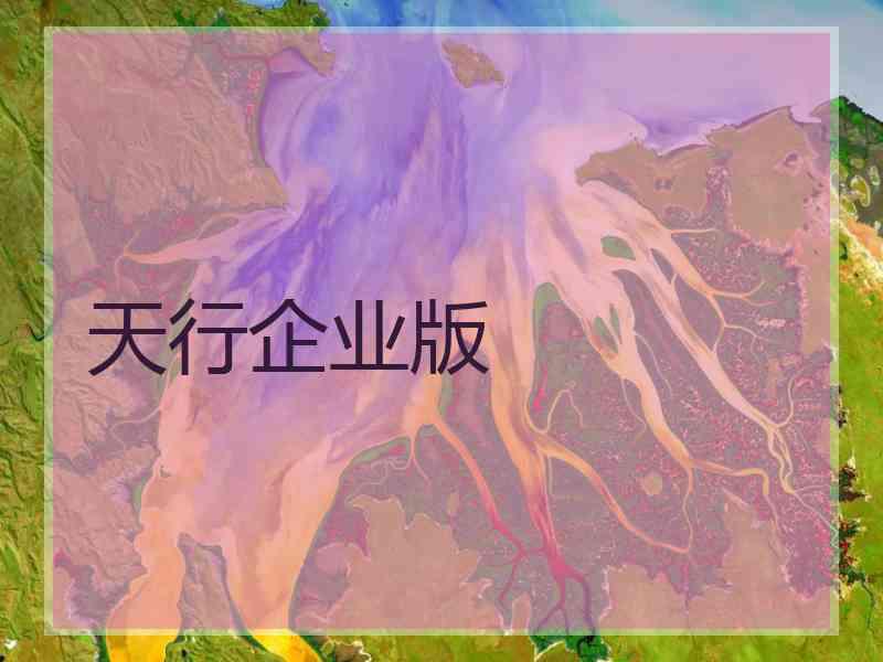 天行企业版 天行企业版