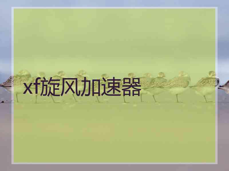 xf旋风加速器 xf旋风加速器