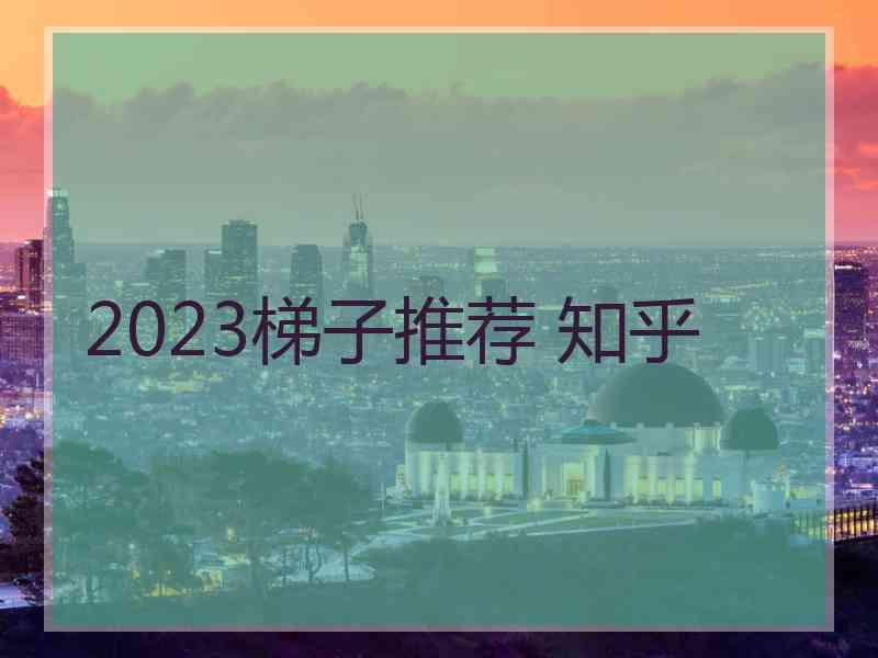 2023梯子推荐 知乎 2023梯子推荐 知乎