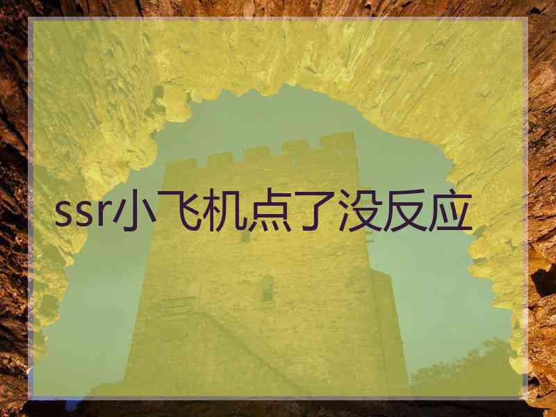 ssr小飞机点了没反应 ssr小飞机点了没反应