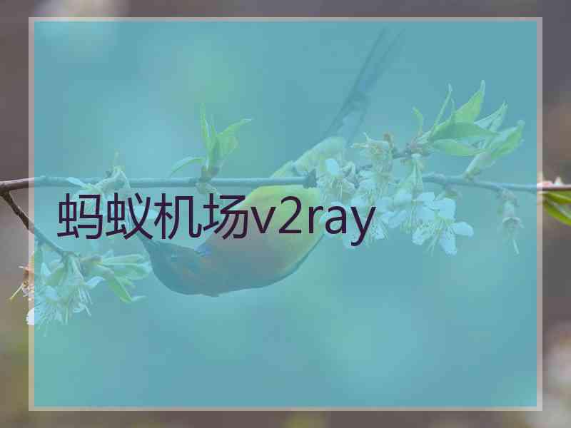 蚂蚁机场v2ray 蚂蚁机场v2ray