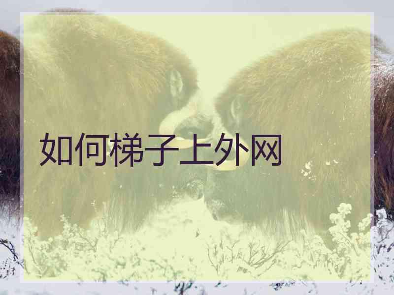如何梯子上外网 如何梯子上外网