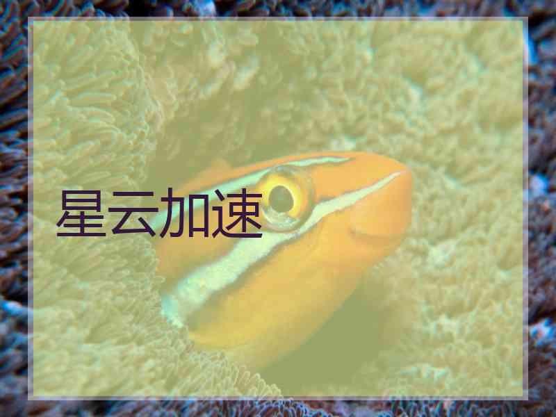星云加速 星云加速