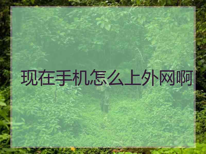 现在手机怎么上外网啊 现在手机怎么上外网啊