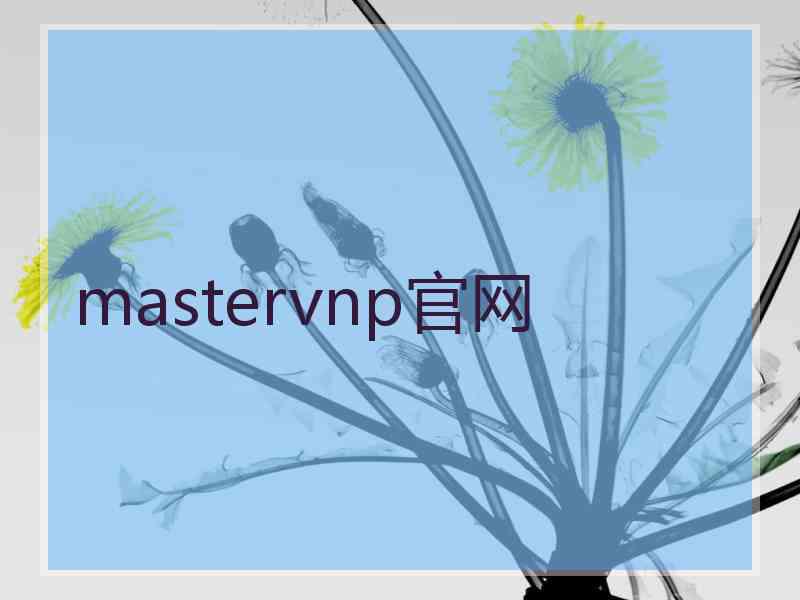 mastervnp官网 mastervnp官网