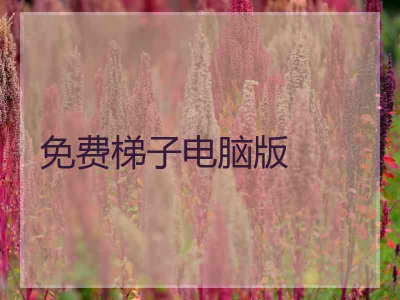 免费梯子电脑版 免费梯子电脑版