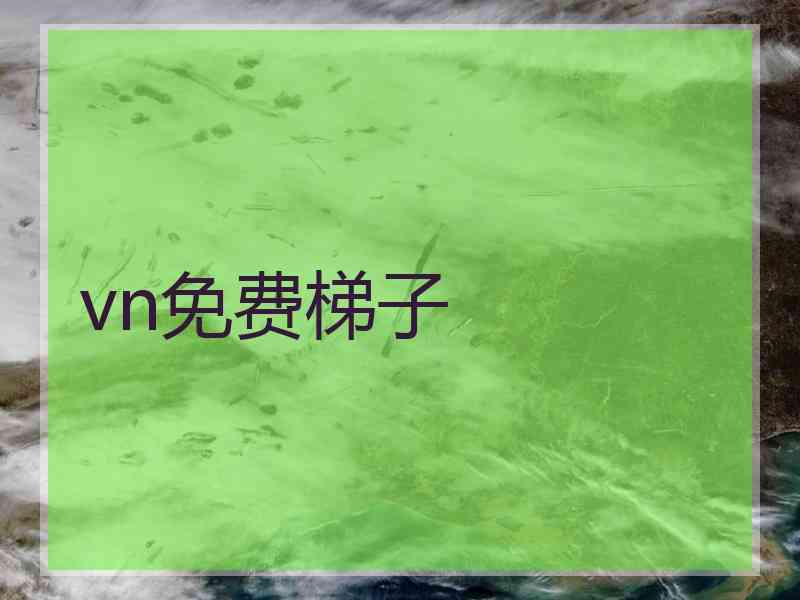 vn免费梯子 vn免费梯子
