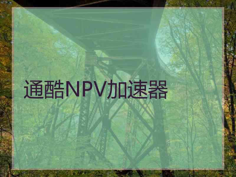 通酷NPV加速器 通酷NPV加速器