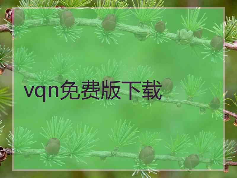 vqn免费版下载 vqn免费版下载