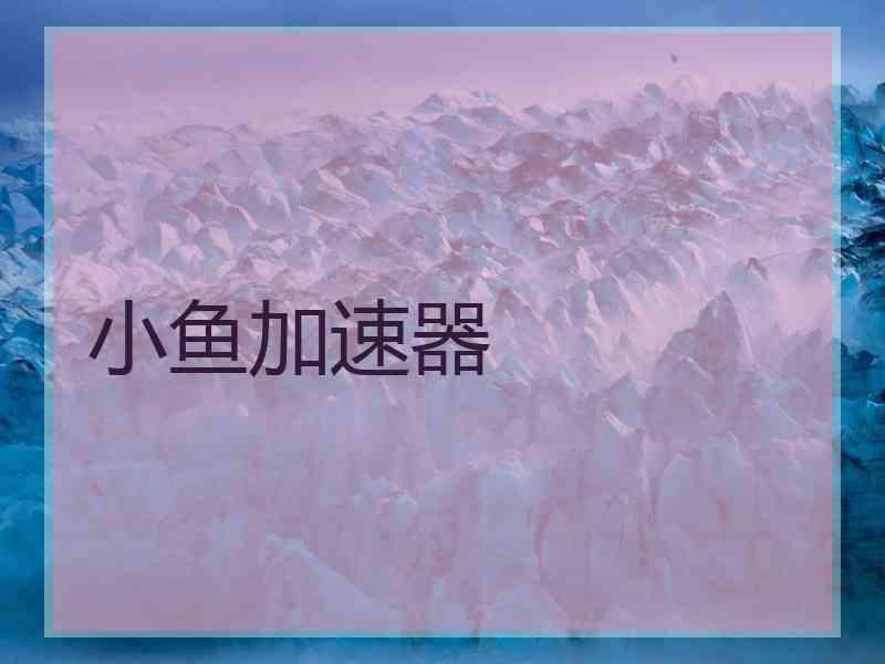 小鱼加速器 小鱼加速器
