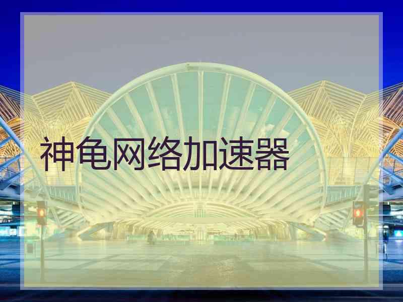 神龟网络加速器 神龟网络加速器