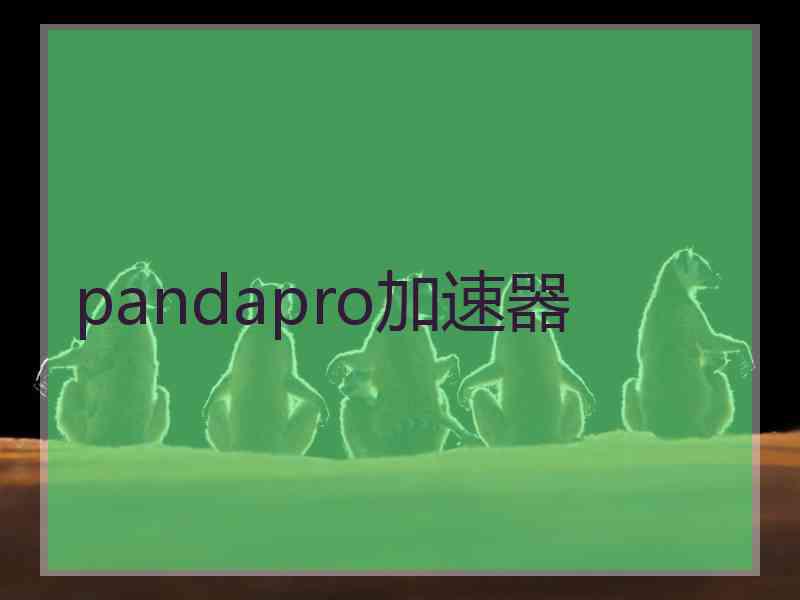 pandapro加速器 pandapro加速器