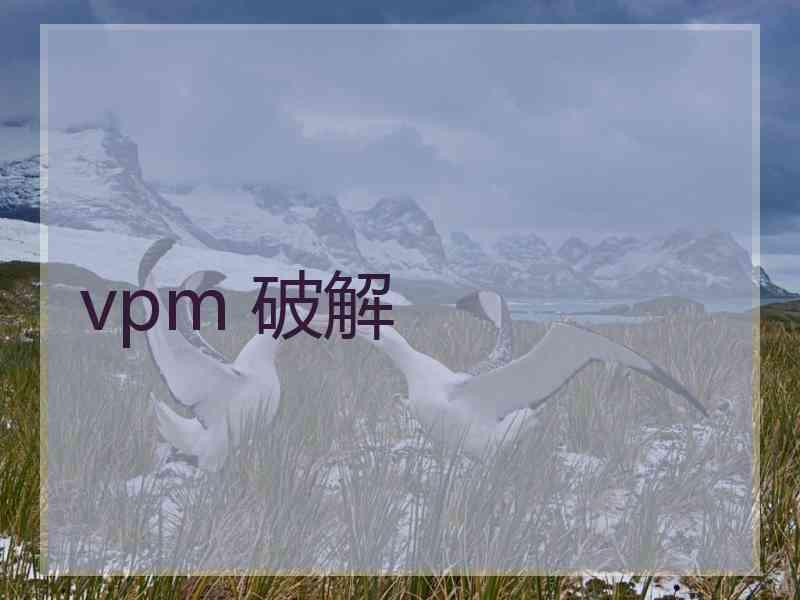 vpm 破解 vpm 破解