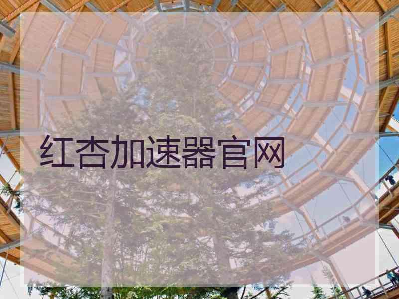 红杏加速器官网 红杏加速器官网