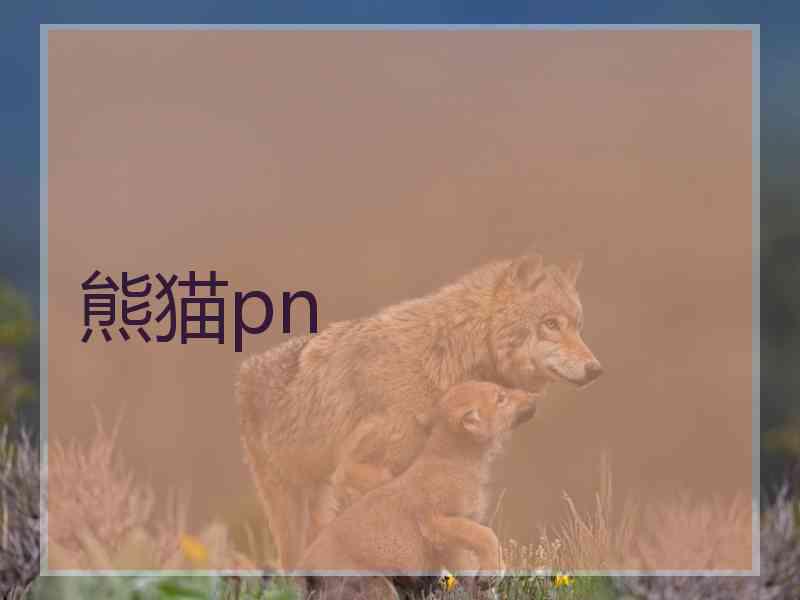 熊猫pn 熊猫pn