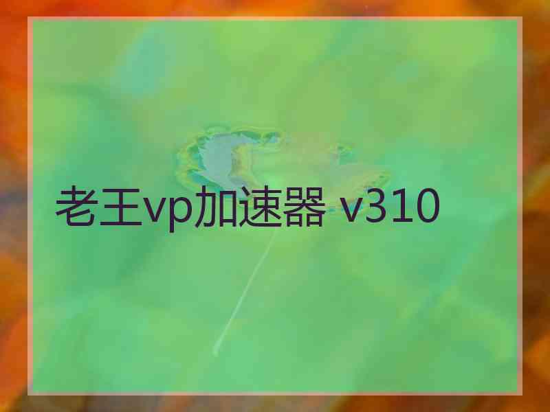 老王vp加速器 v310 老王vp加速器 v310
