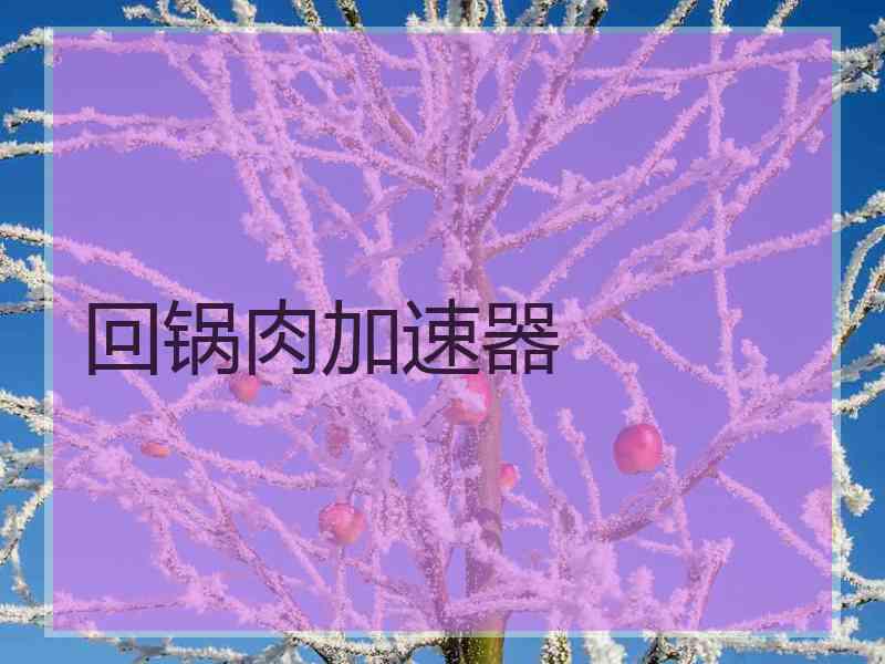 回锅肉加速器 回锅肉加速器