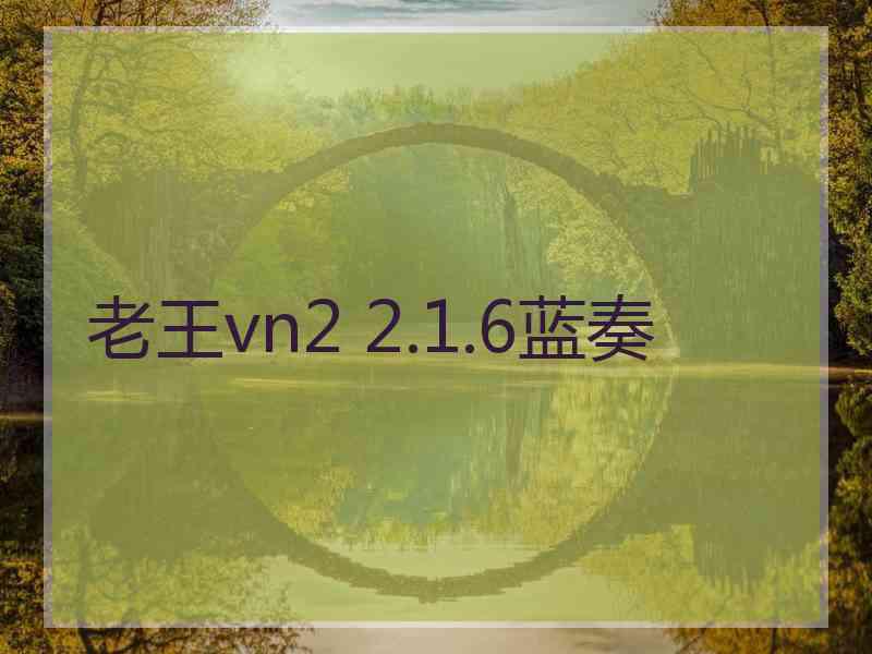 老王vn2 2.1.6蓝奏 老王vn2 2.1.6蓝奏