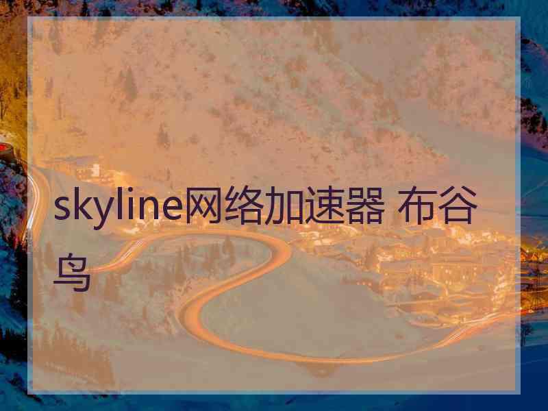 skyline网络加速器 布谷鸟 skyline网络加速器 布谷鸟