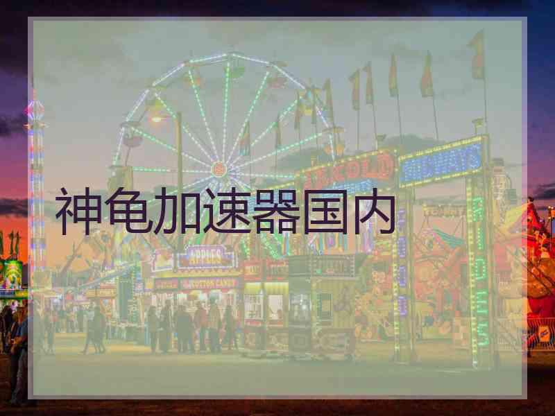 神龟加速器国内 神龟加速器国内