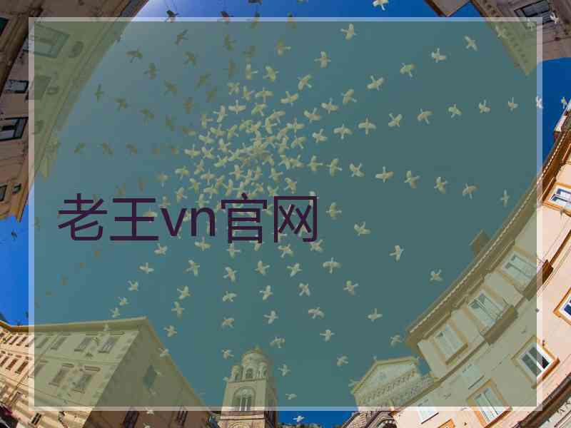 老王vn官网 老王vn官网