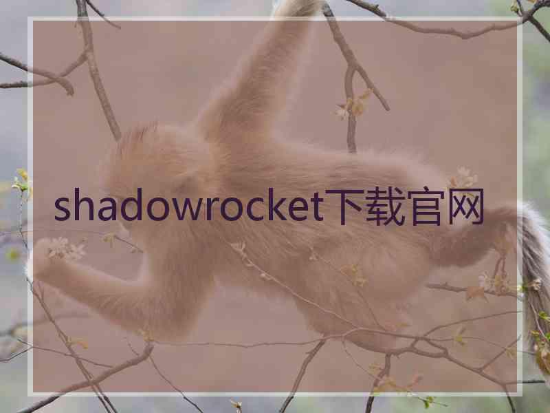 shadowrocket下载官网