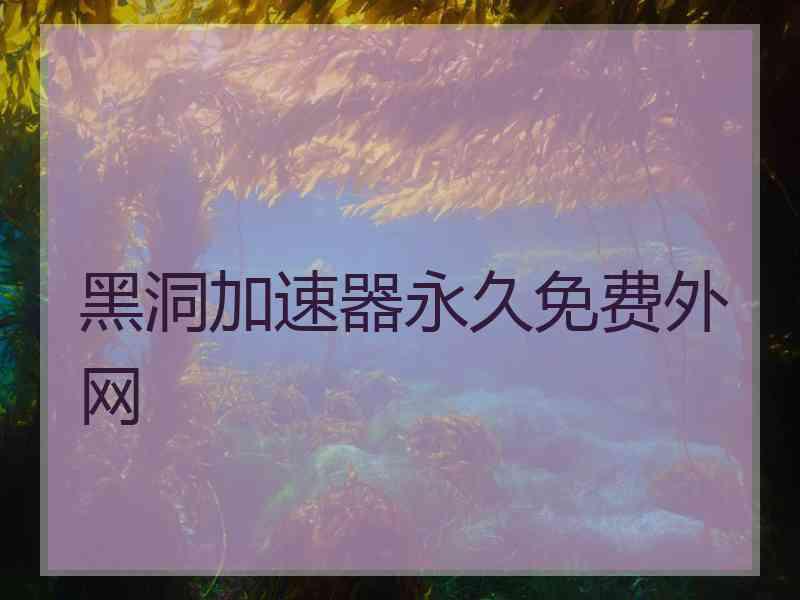 黑洞加速器永久免费外网 黑洞加速器永久免费外网