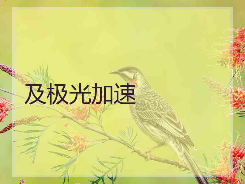 及极光加速 及极光加速