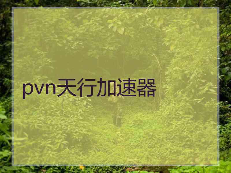 pvn天行加速器 pvn天行加速器
