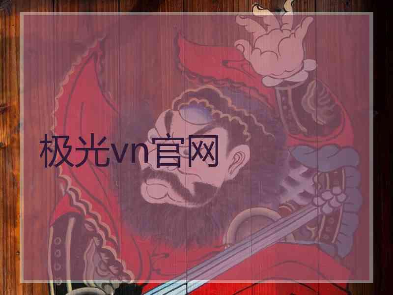 极光vn官网 极光vn官网