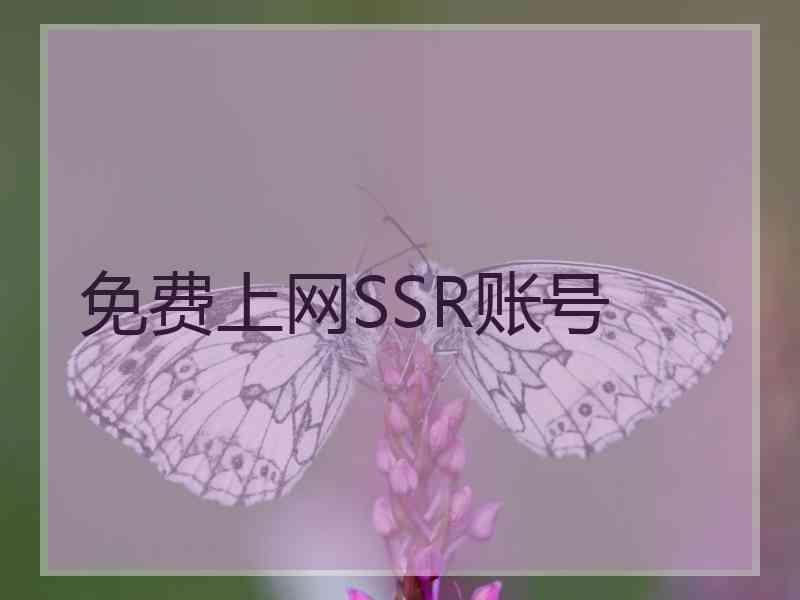 免费上网SSR账号 免费上网SSR账号