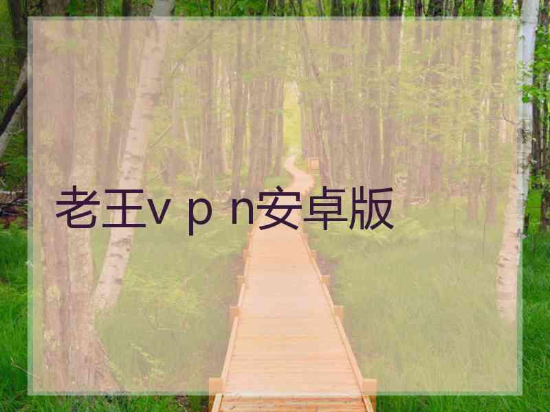 老王v p n安卓版 老王v p n安卓版
