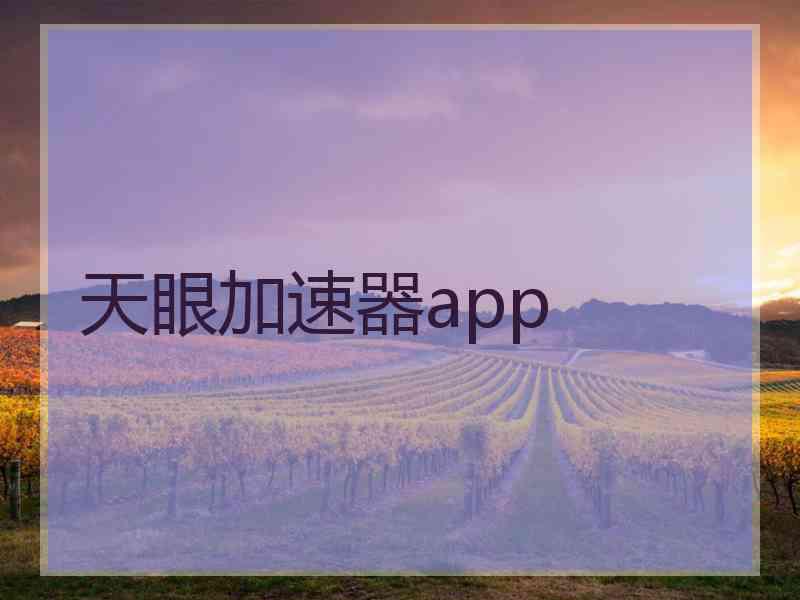 天眼加速器app 天眼加速器app