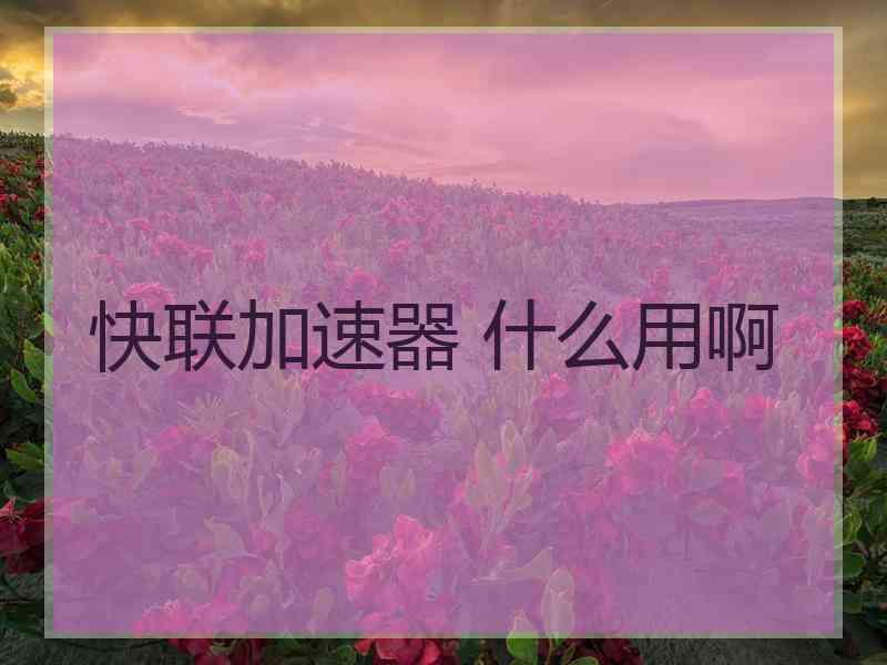 快联加速器 什么用啊 快联加速器 什么用啊
