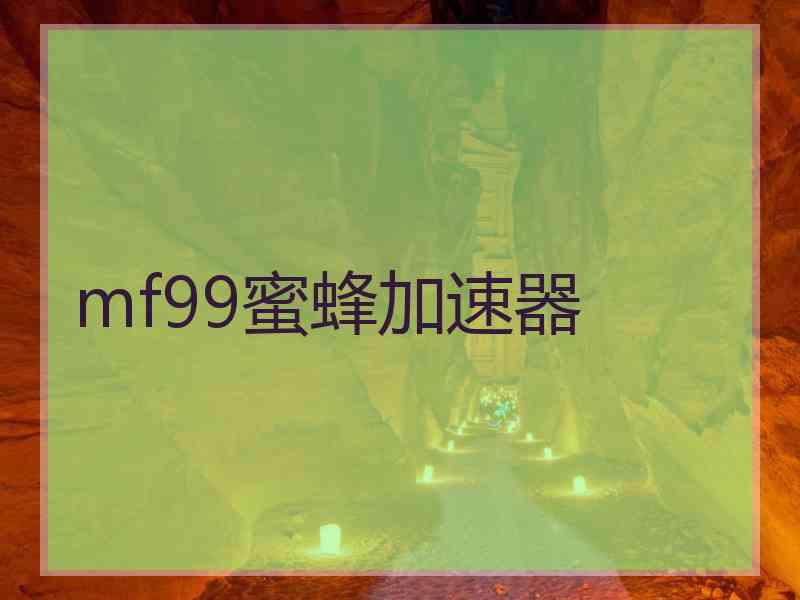 mf99蜜蜂加速器 mf99蜜蜂加速器