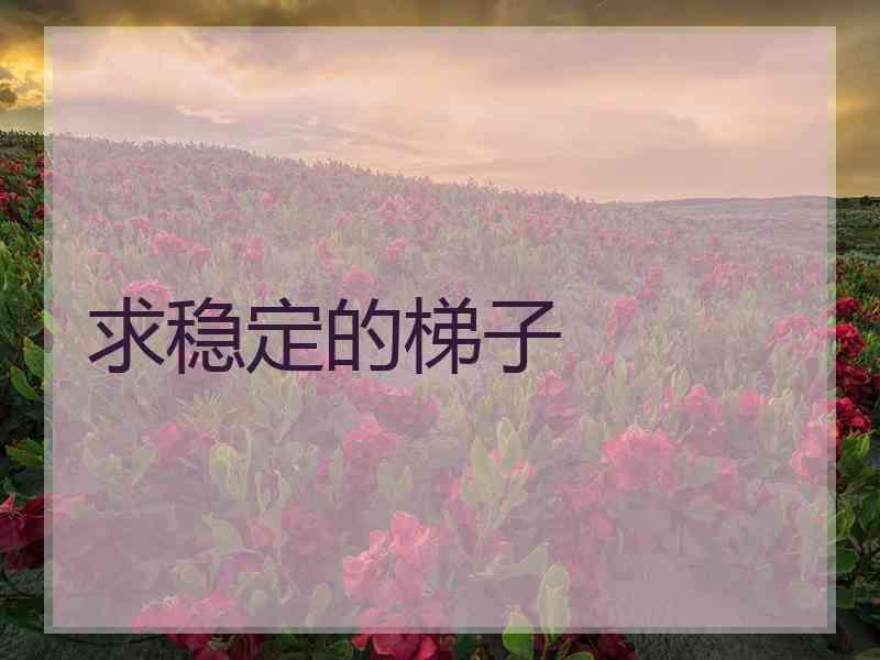 求稳定的梯子 求稳定的梯子