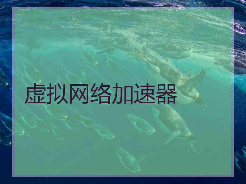 虚拟网络加速器 虚拟网络加速器