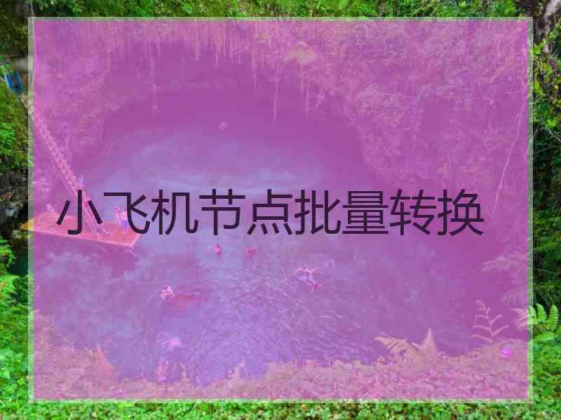 小飞机节点批量转换 小飞机节点批量转换
