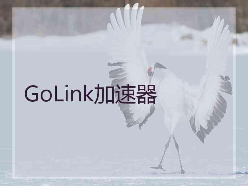 GoLink加速器