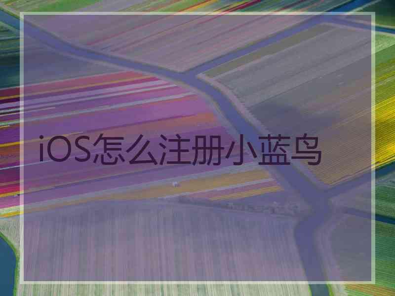 iOS怎么注册小蓝鸟 iOS怎么注册小蓝鸟
